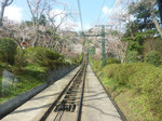 resize007501.jpg